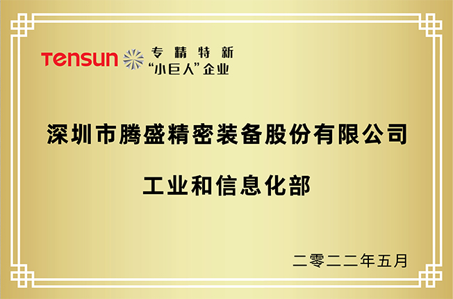 專(zhuān)精特新"小巨人"企業(yè)