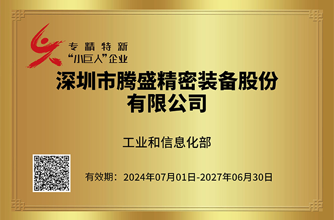 國(guó)家專(zhuān)精特新“小巨人”企業(yè)